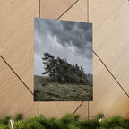 The Bend — Moody Landscape Wall Art