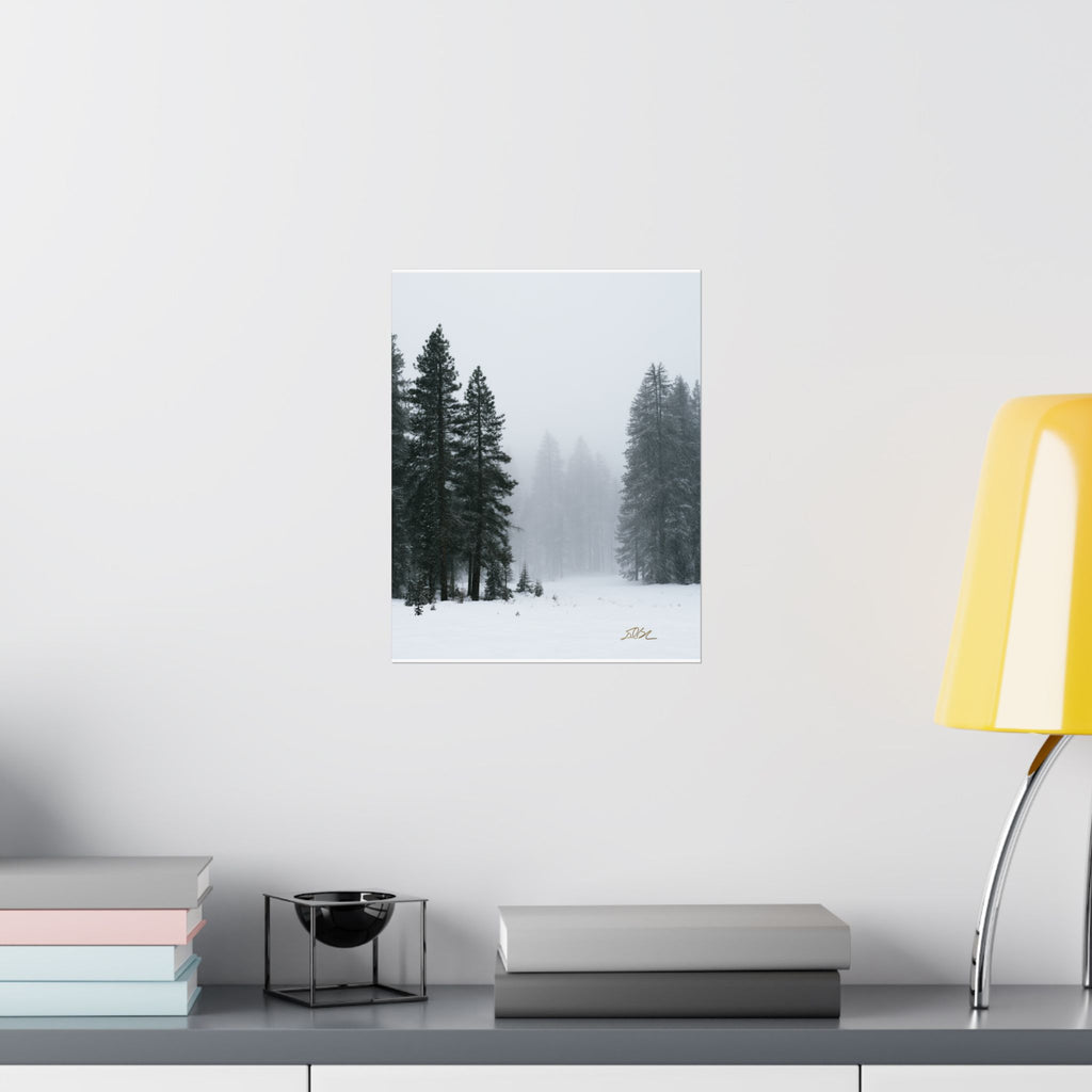 Winter's Veil — Landscape Wall Art
