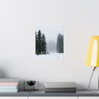 Winter's Veil — Landscape Wall Art