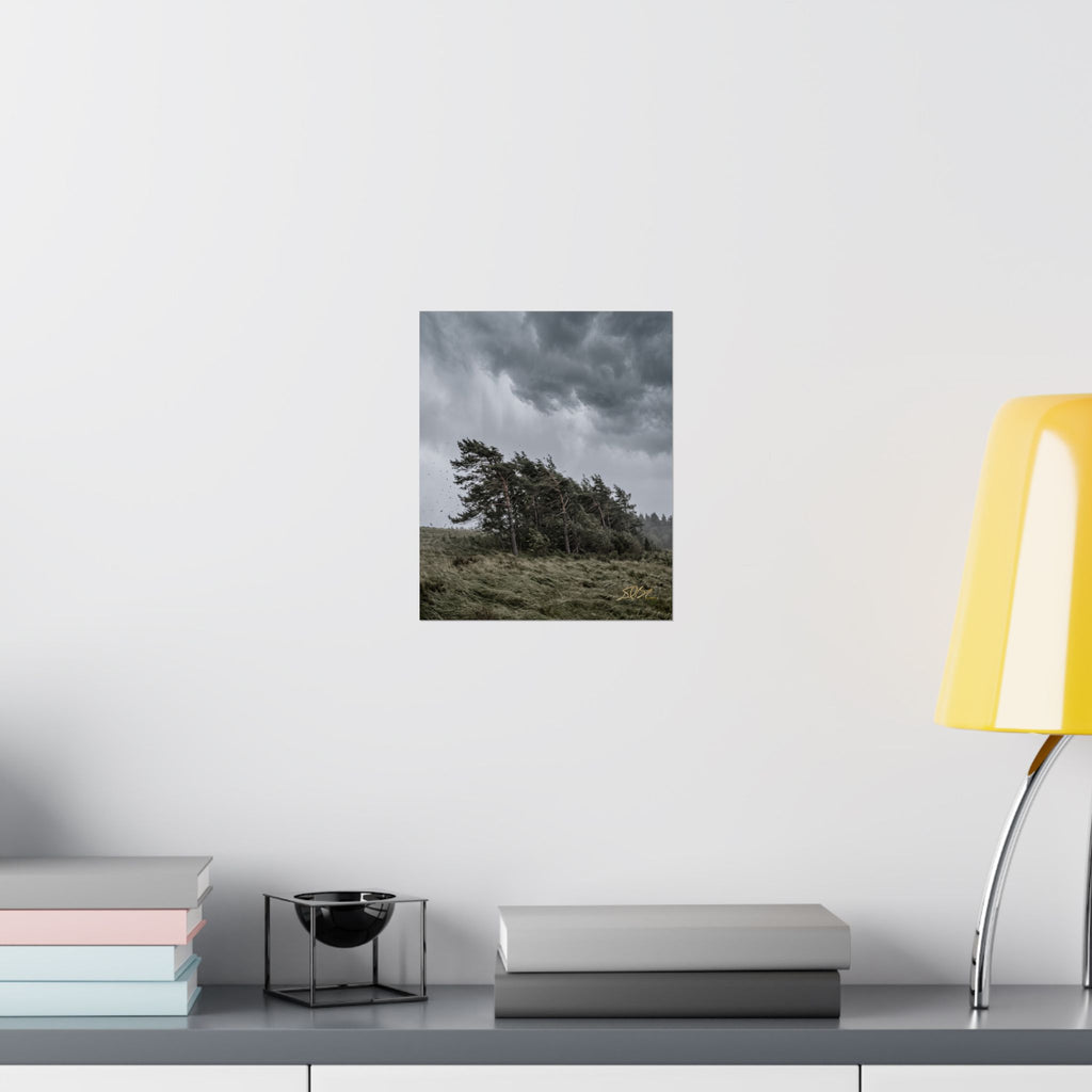 The Bend — Moody Landscape Wall Art