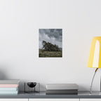 The Bend — Moody Landscape Wall Art