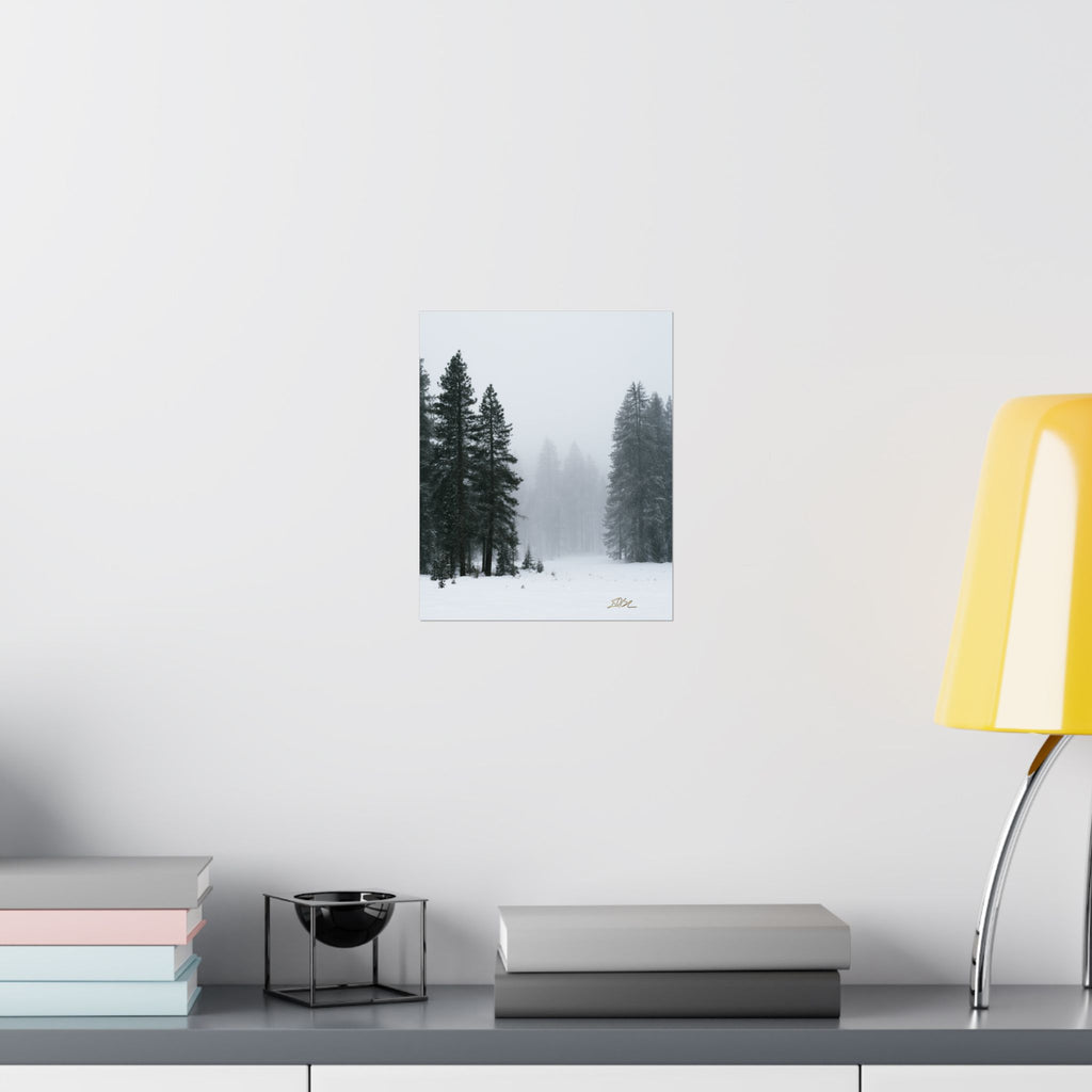 Winter's Veil — Landscape Wall Art