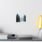Winter's Veil — Landscape Wall Art