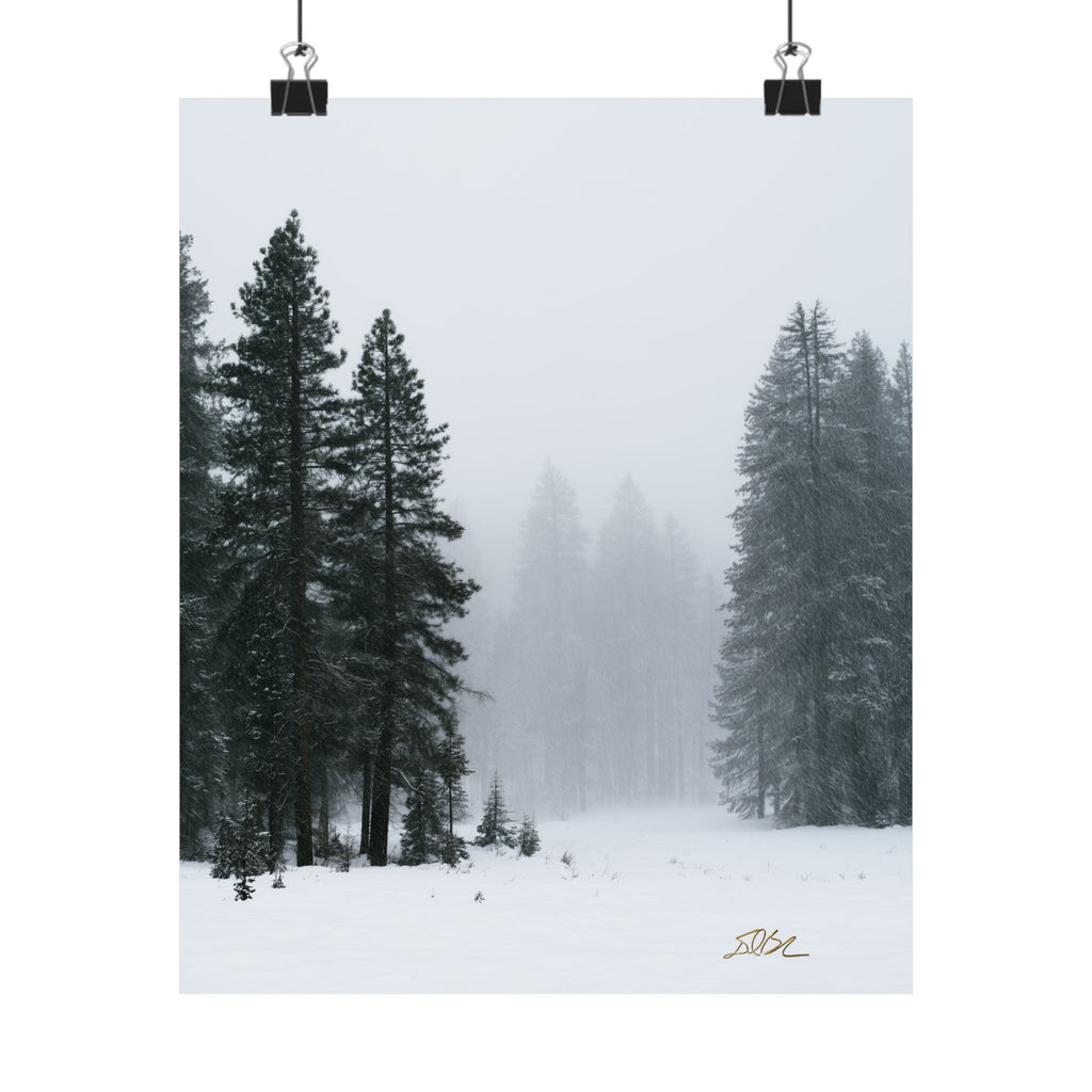Winter's Veil — Landscape Wall Art