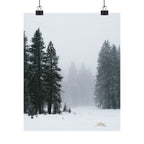 Winter's Veil — Landscape Wall Art