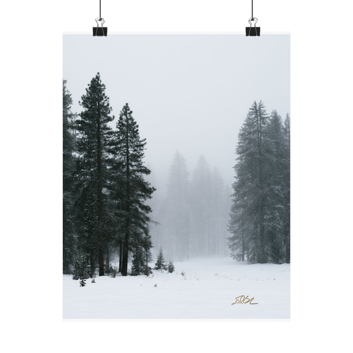 Winter's Veil — Landscape Wall Art