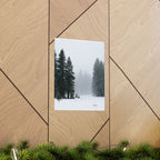 Winter's Veil — Landscape Wall Art