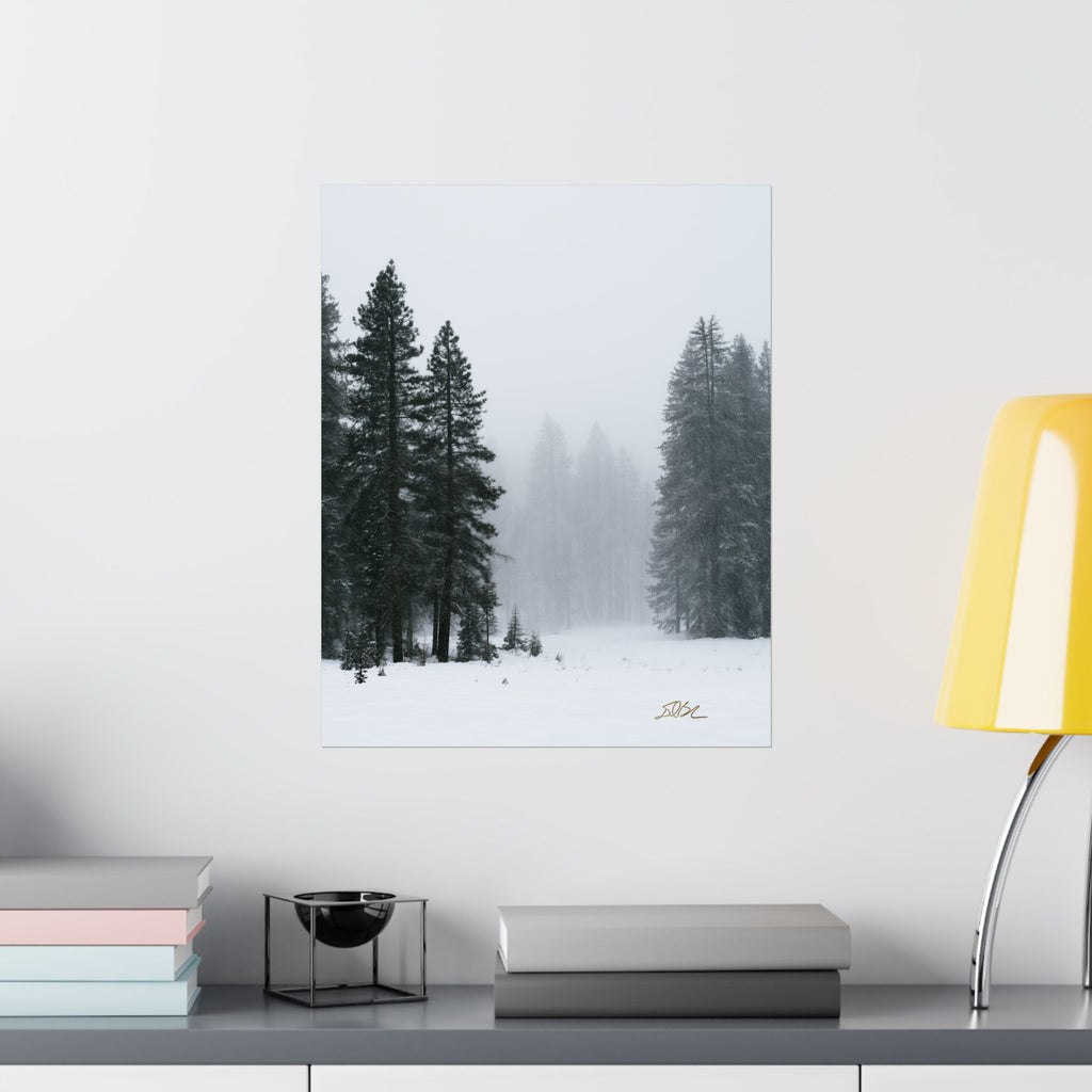 Winter's Veil — Landscape Wall Art