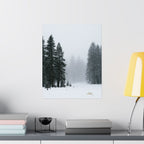 Winter's Veil — Landscape Wall Art