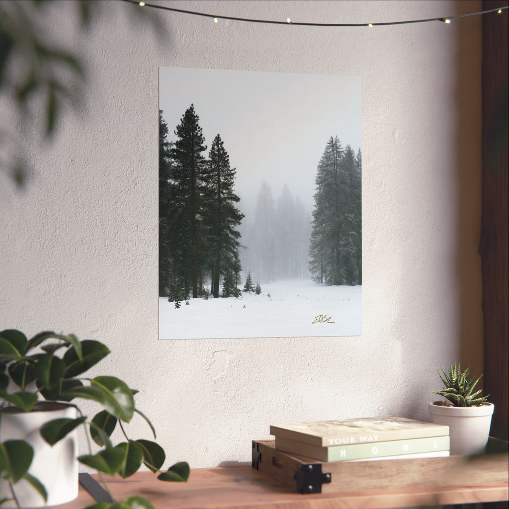 Winter's Veil — Landscape Wall Art