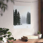 Winter's Veil — Landscape Wall Art