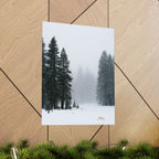 Winter's Veil — Landscape Wall Art