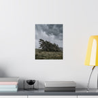 The Bend — Moody Landscape Wall Art