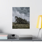 The Bend — Moody Landscape Wall Art