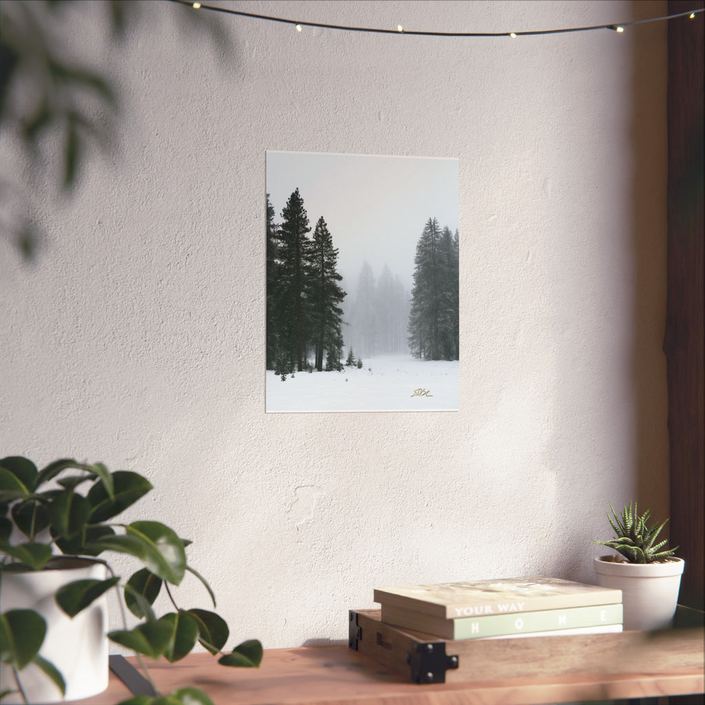 Winter's Veil — Landscape Wall Art