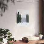 Winter's Veil — Landscape Wall Art