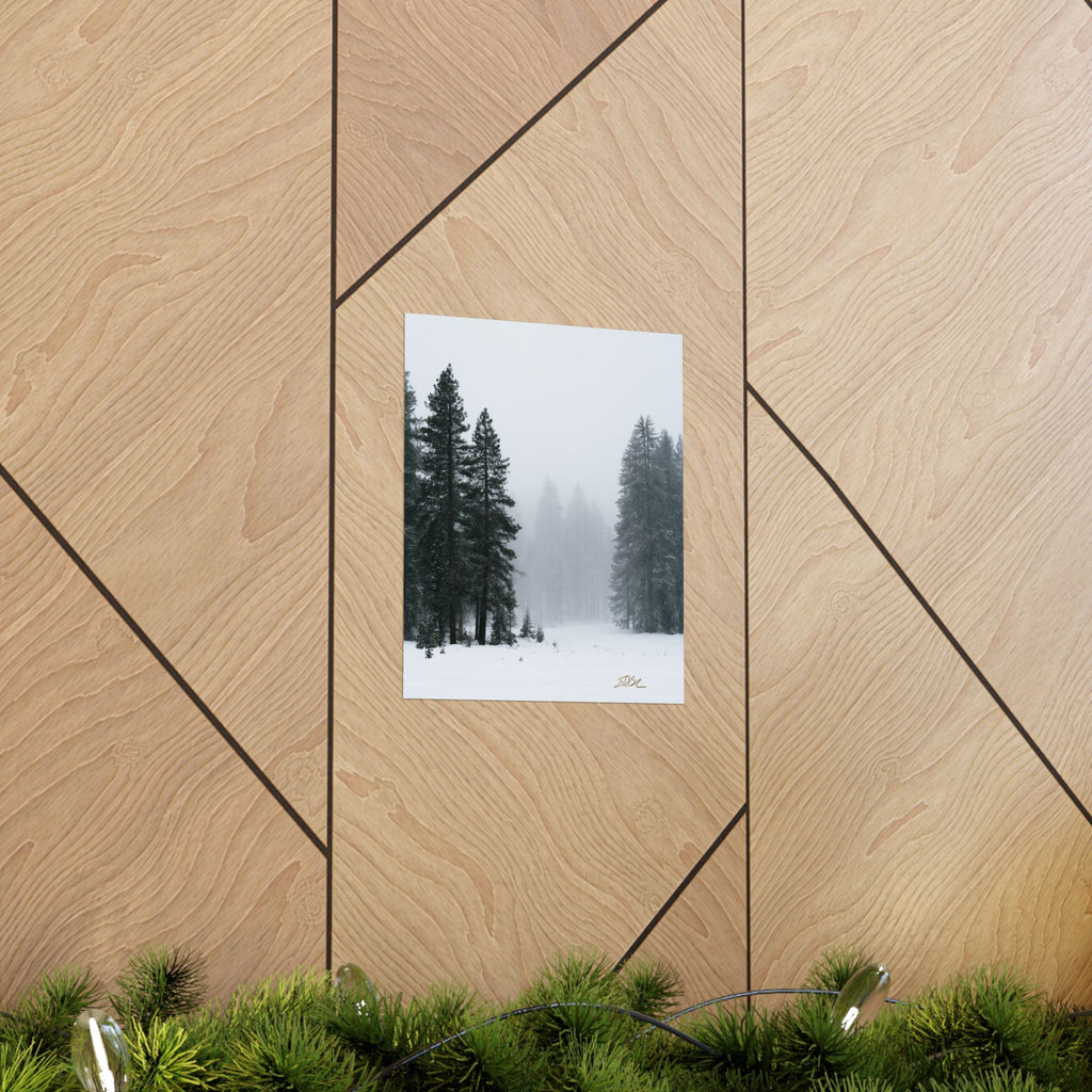 Winter's Veil — Landscape Wall Art