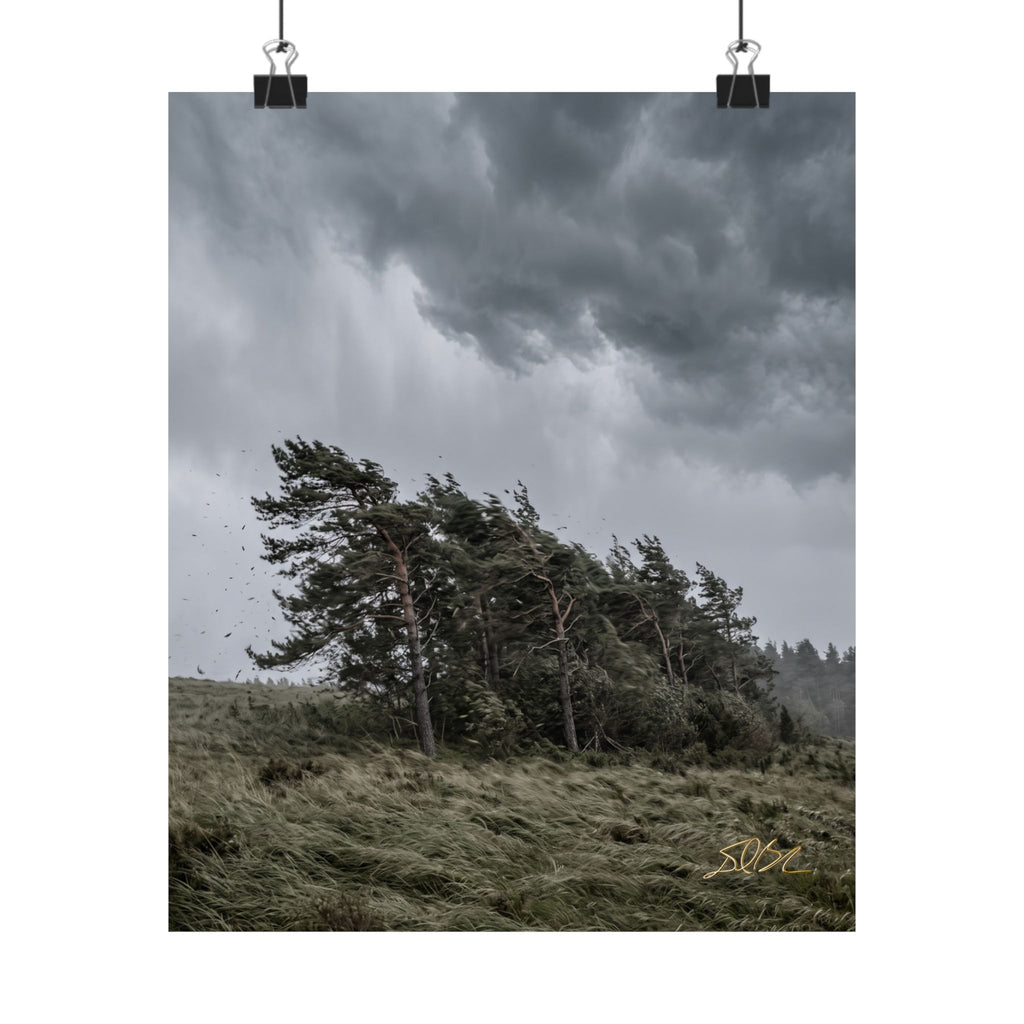 The Bend — Moody Landscape Wall Art