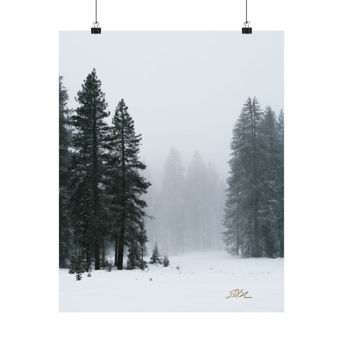 Winter's Veil — Landscape Wall Art